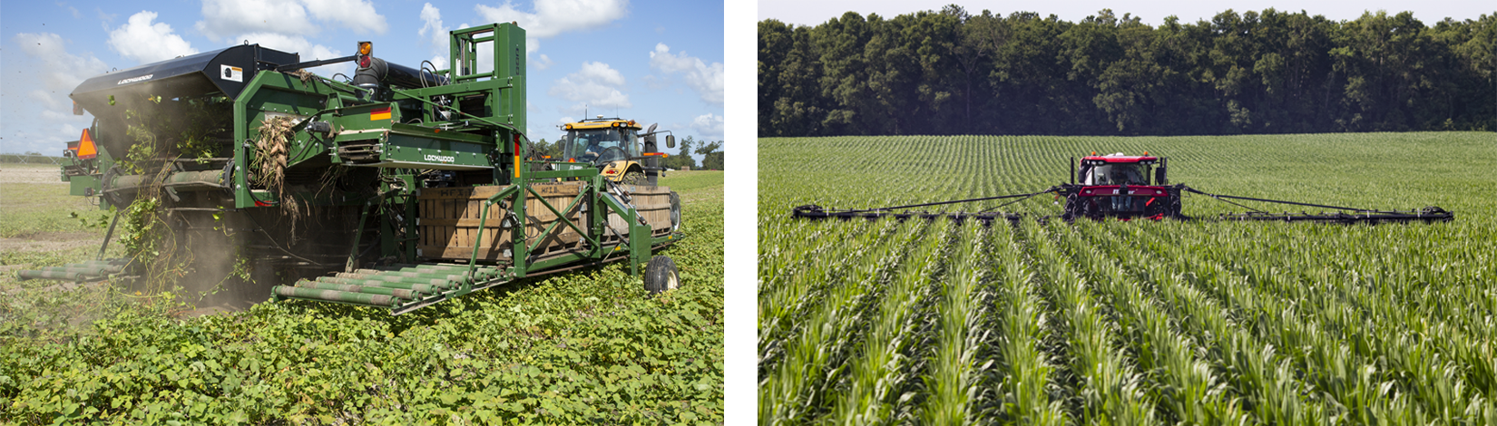 An image of a sweet potato field being harvested and a corn field being fertilized.