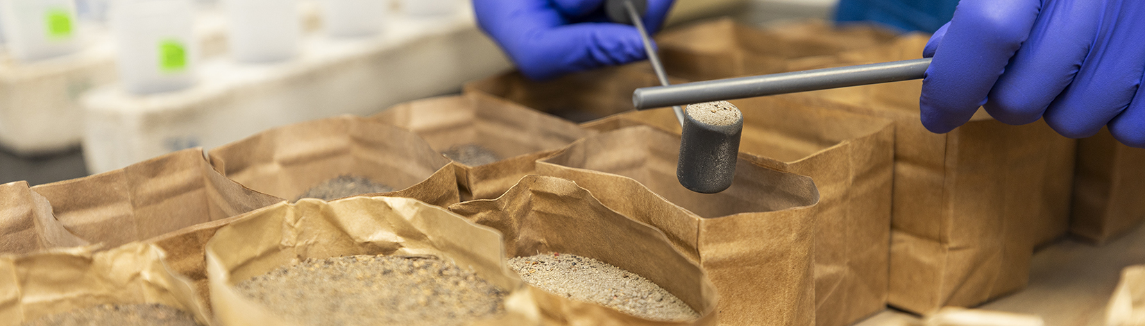 Two hands in blue latex gloves scope and level dry soil samples before running soil and water testing.