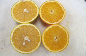 2 oranges sliced in half
