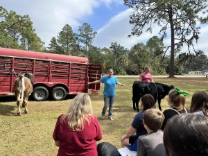Beef cattle ag day 