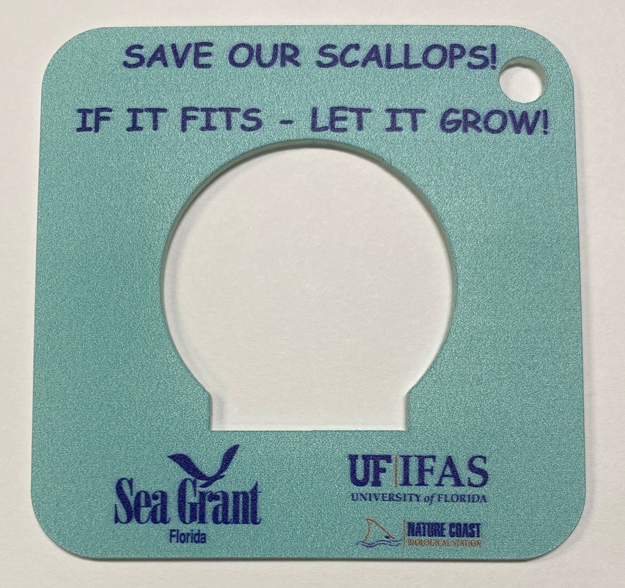Sorting scallops A cooperative approach to fisheries management. UF