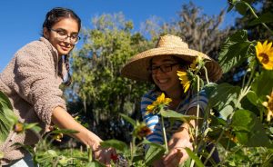 Mother and daughter cutting flowers
