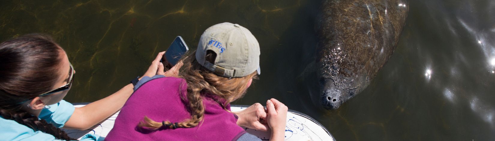 Two individuals on a boat looking at a manatee.