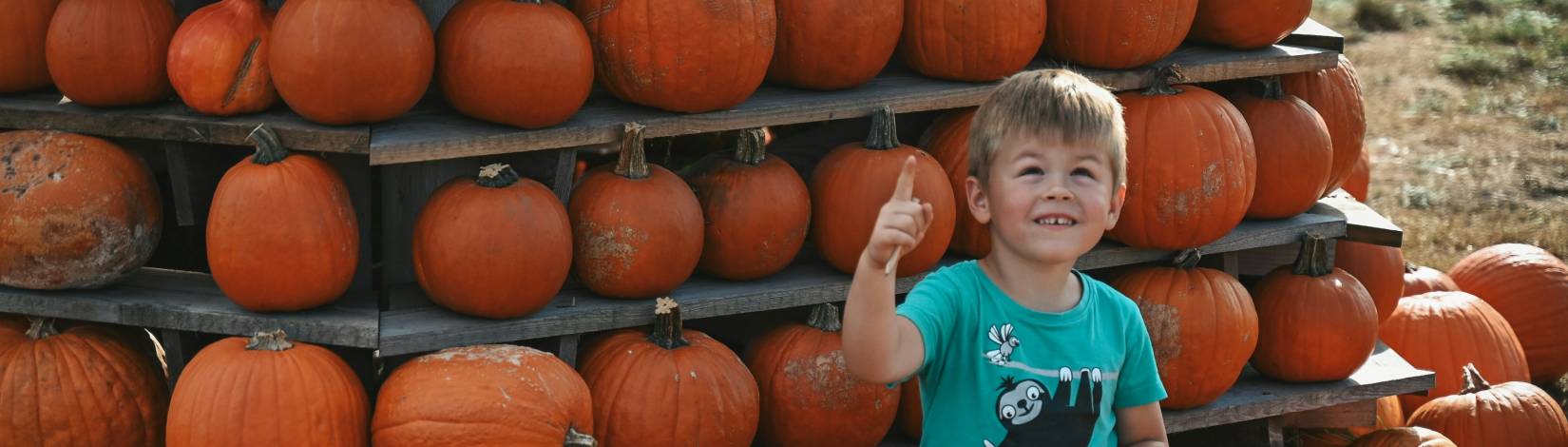 Little boy at pumpkin patch