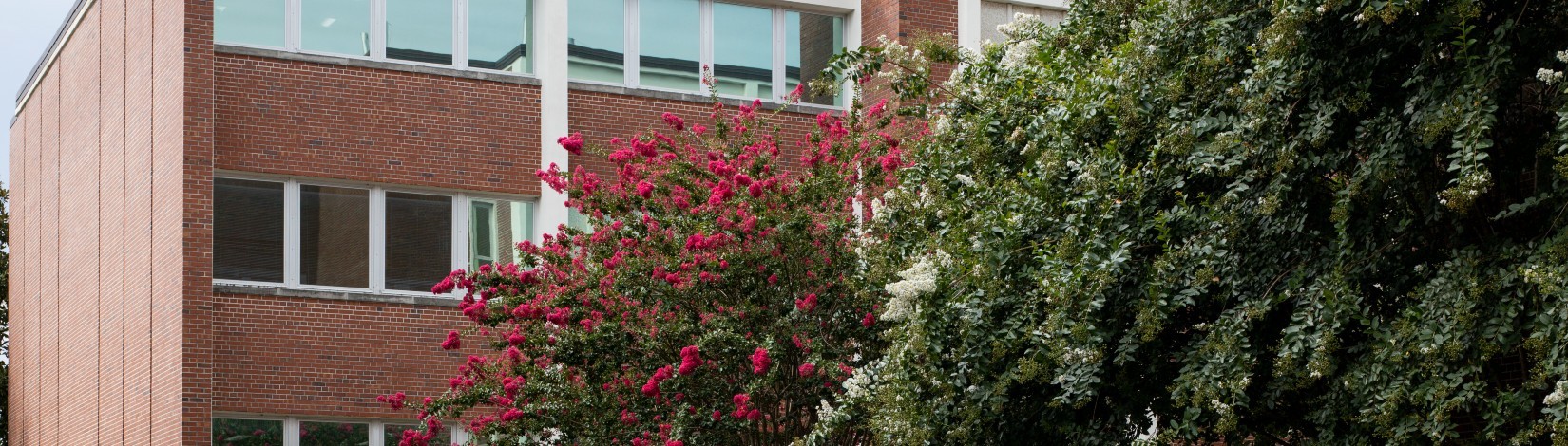 Entrance of McCarty Hall D.