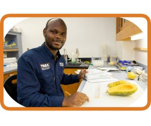 Dr. Meru measures the features of a calabaza.