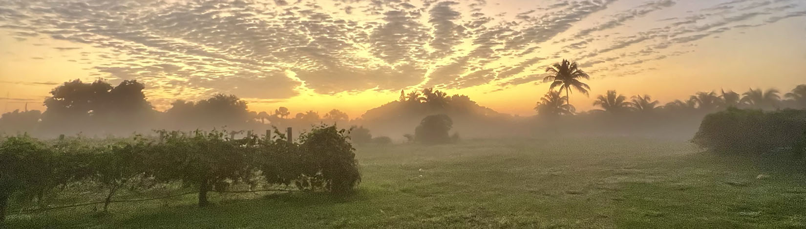 Sunrise South Florida