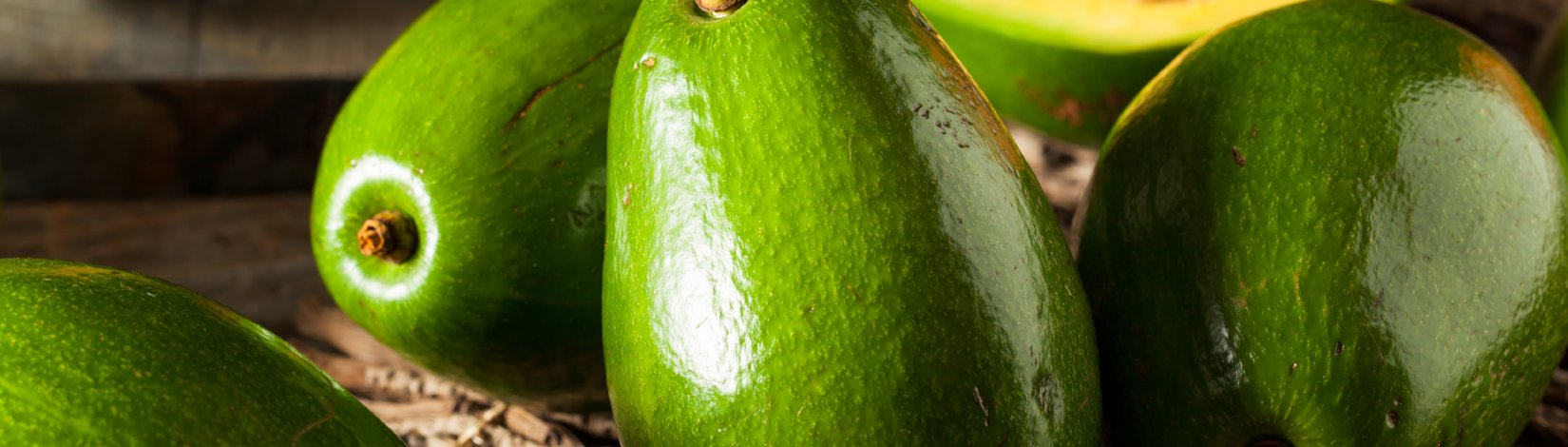 Raw green organic Florida avocados.