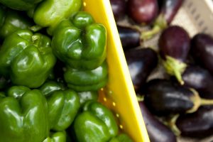 Bell peppers and eggplants are vegetables currently impacting grower production by the invasive.Courtesy UF/IFAS Tyler Jones 