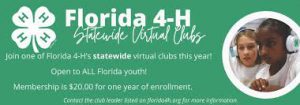 Statewide virtual 4-H programs