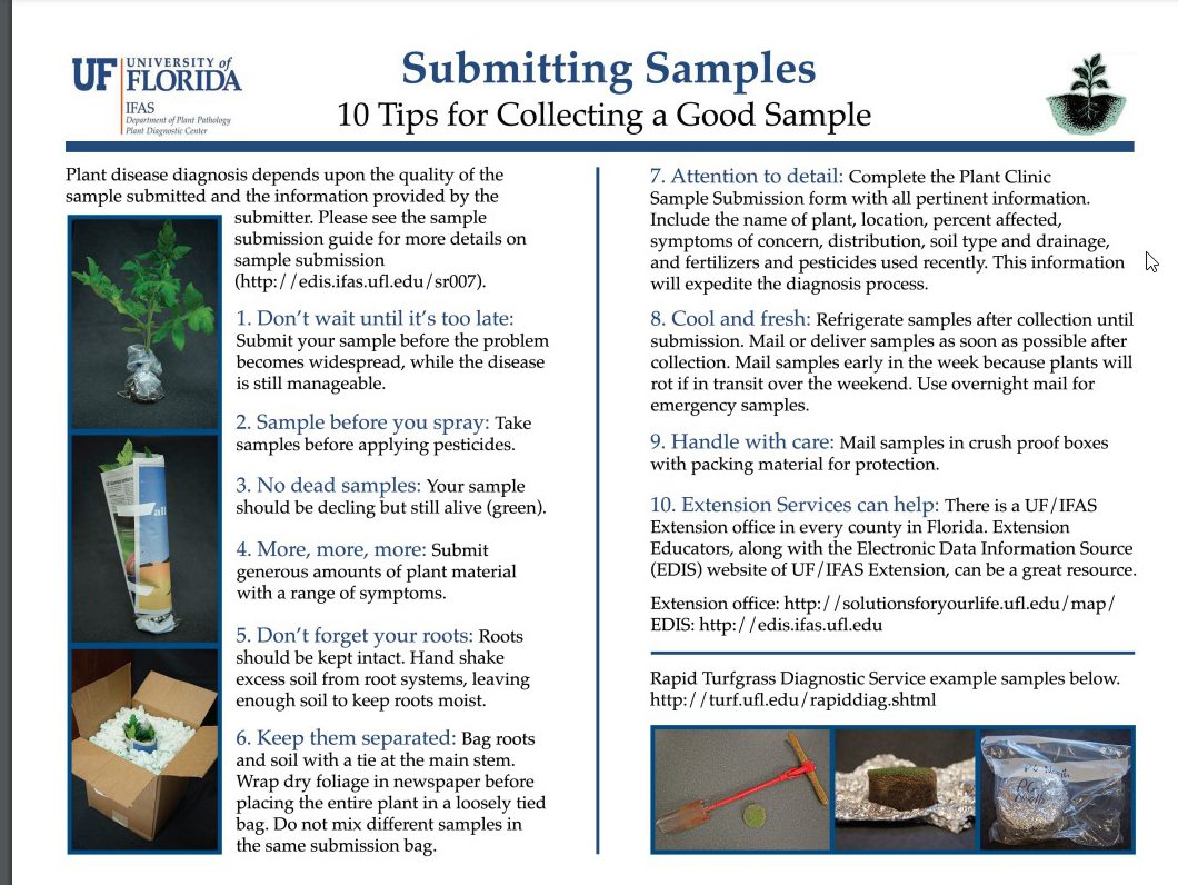 What’s Growing On Submitting Quality Plant Samples Uf Ifas Extension Volusia County