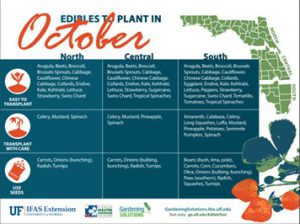 What’s Growing On? Fall Garden Preparation - UF/IFAS Extension Volusia