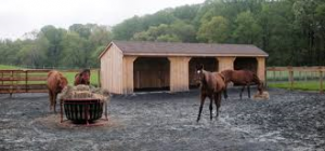 horse farm