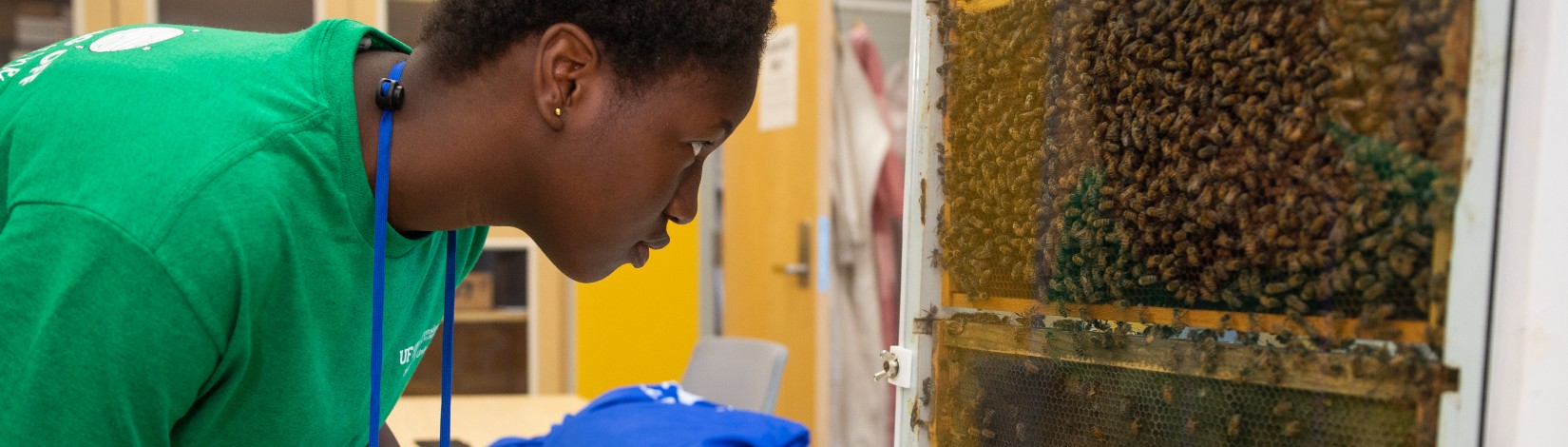 4H youth observing a demonstration bee hive at the Honey Bee Lab during 4H University.
