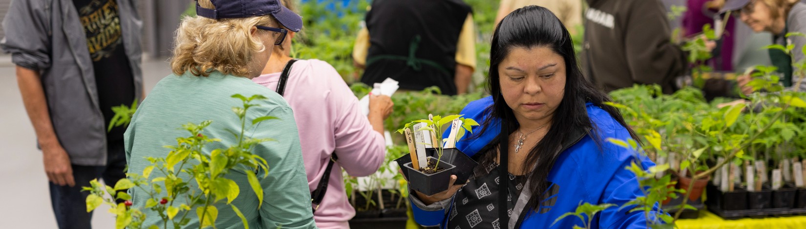 Shoppers buying plants at a Volusia County Extension plant sale.