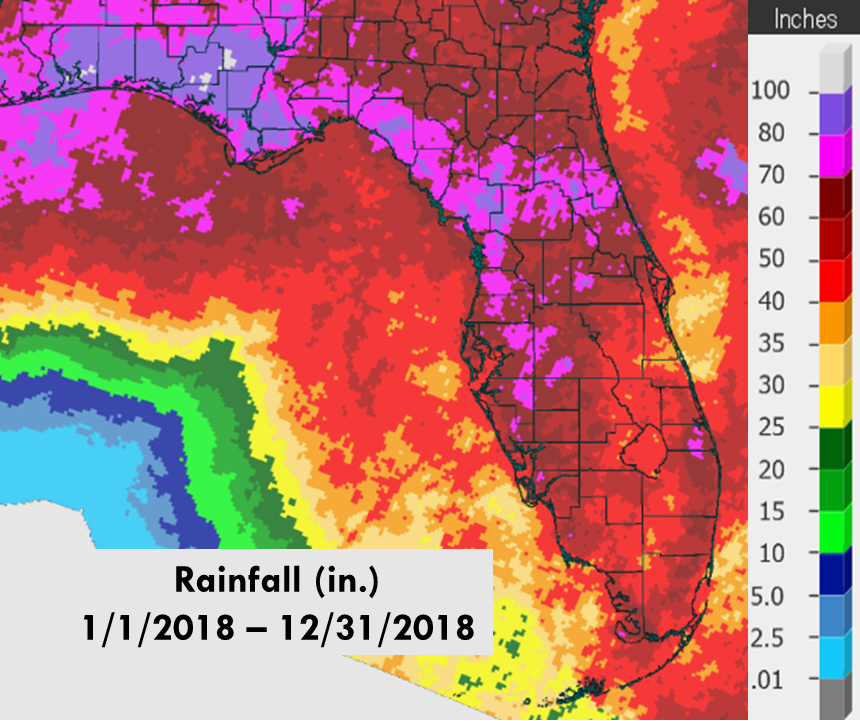 A map graphic depicting the average rainfall across Florida in 2018. The rainfall averages range from 35-100 inches per year, with higher levels in the panhandle and northern gulf coast. 