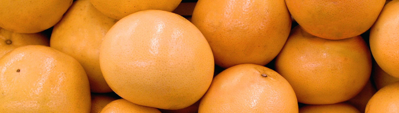 Grapefruit.