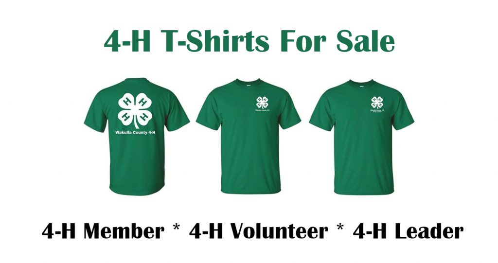 4h shirts for sale