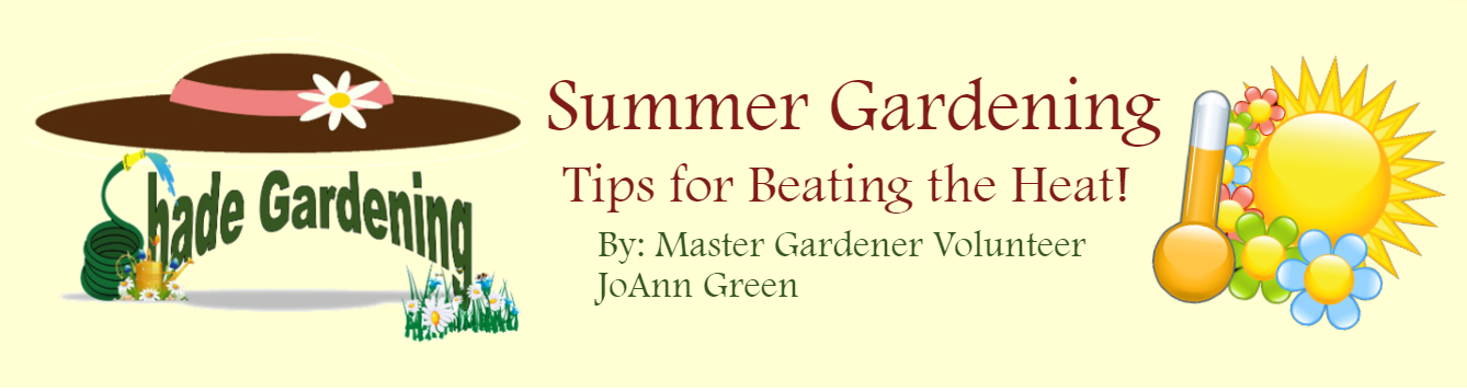 Summer Gardening 2nd story July 2020