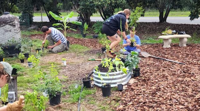 Wakulla Animal Services