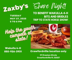 photo of chicken strips