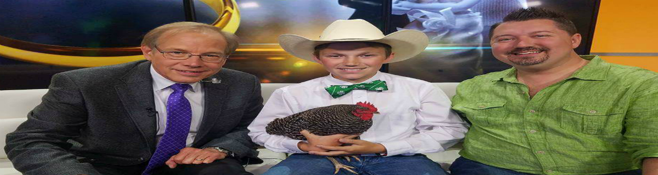 wctv chick-chain feat