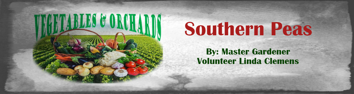 May 2020 MGV Linda Clemens