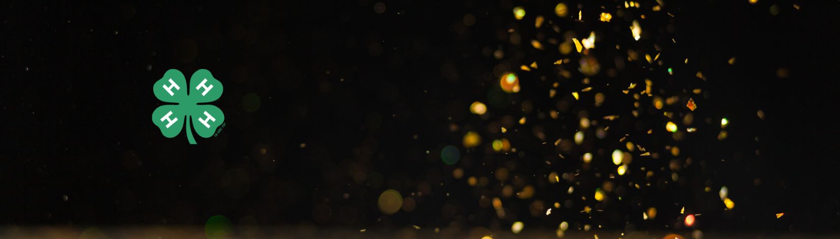 Colored lights on black background