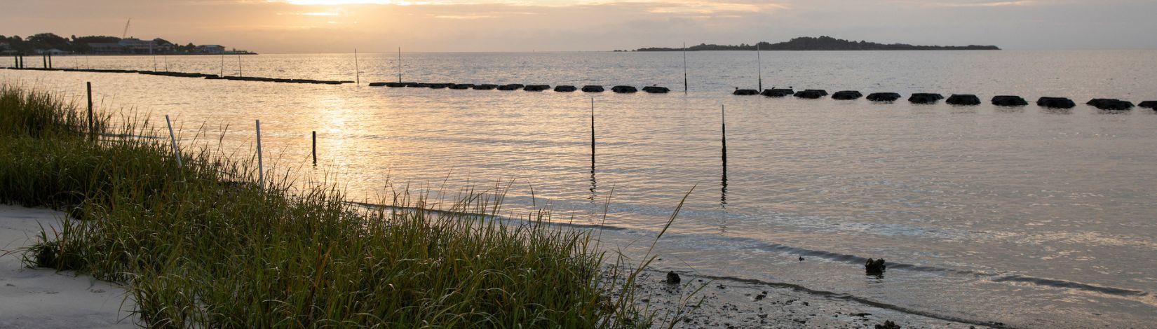 Reef balls and a rising sun as part of Sea Grant's living shoreline restoration in Cedar Key, Florida.