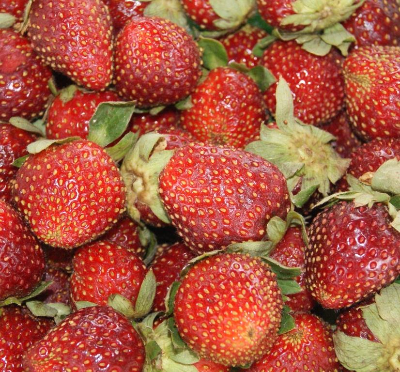 Chipley Farmers Market UF/IFAS Extension Washington County