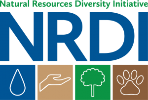 NRDI Logo