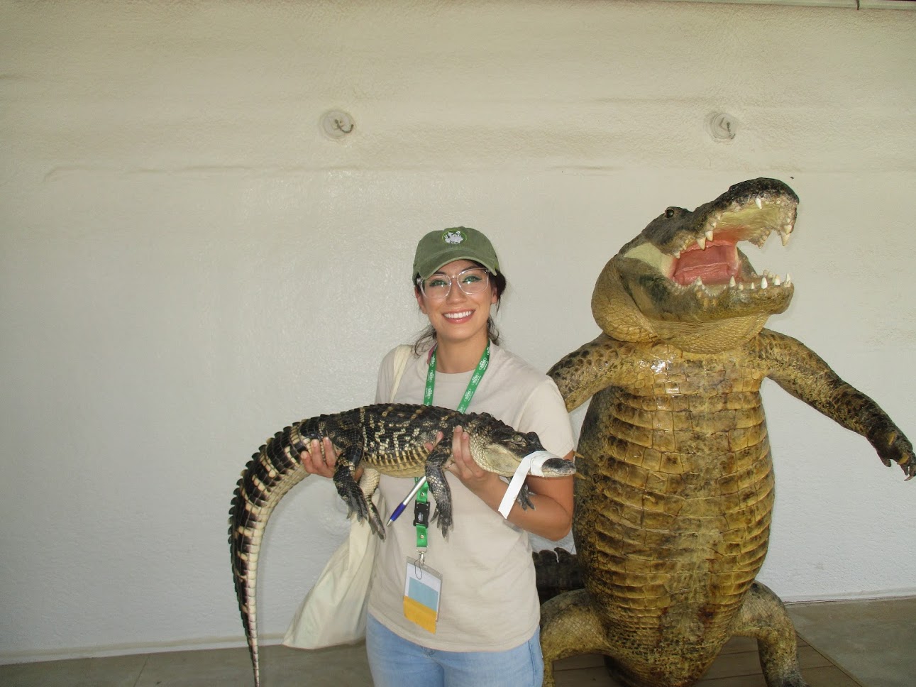 How Wec Works Mel Moreno Uf Ifas Wildlife Ecology And Conservation