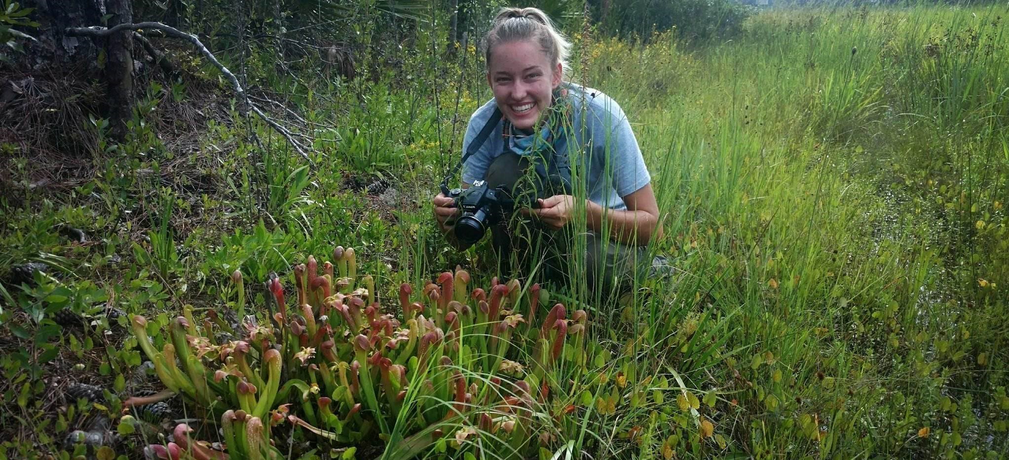 My Summer Internship Megan Ellis UF/IFAS Wildlife Ecology and