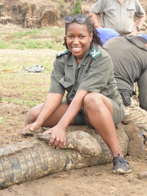 How Wec Works Zoe Nhleko Uf Ifas Wildlife Ecology And Conservation