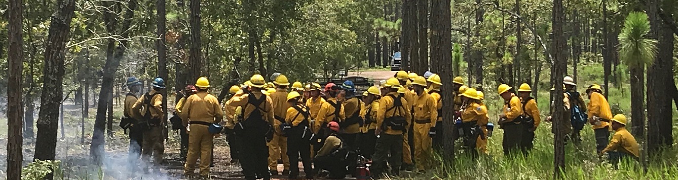 NATA's S-130/S-190/L-180 Basic Wildland Firefighter Training Sizzles ...