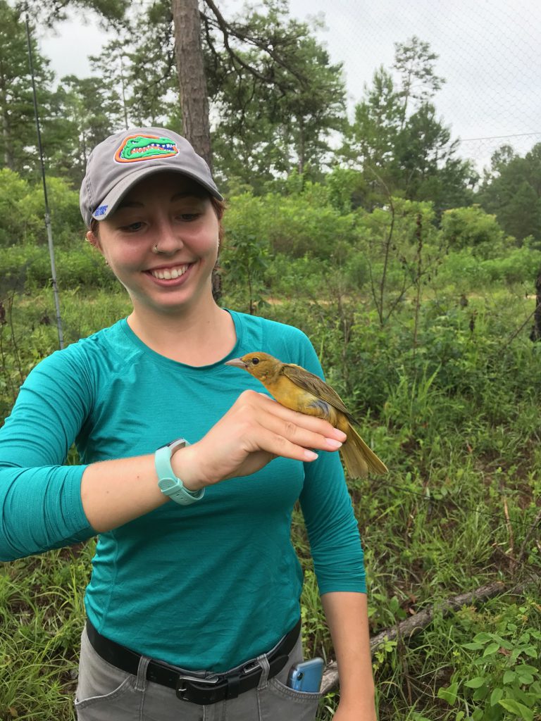 Shannon Summers Conducted Field Research as Tall Timbers Intern UF