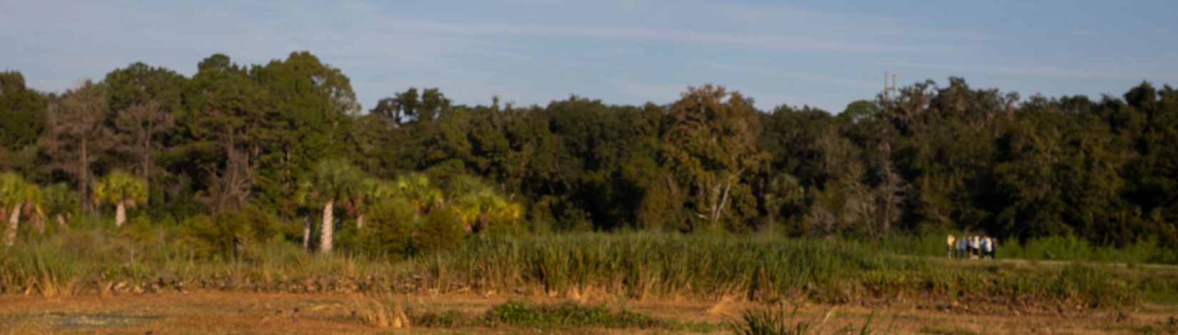 Sign explaining functioning of natural water drainage and filtration at Sweetwater Wetlands Park.