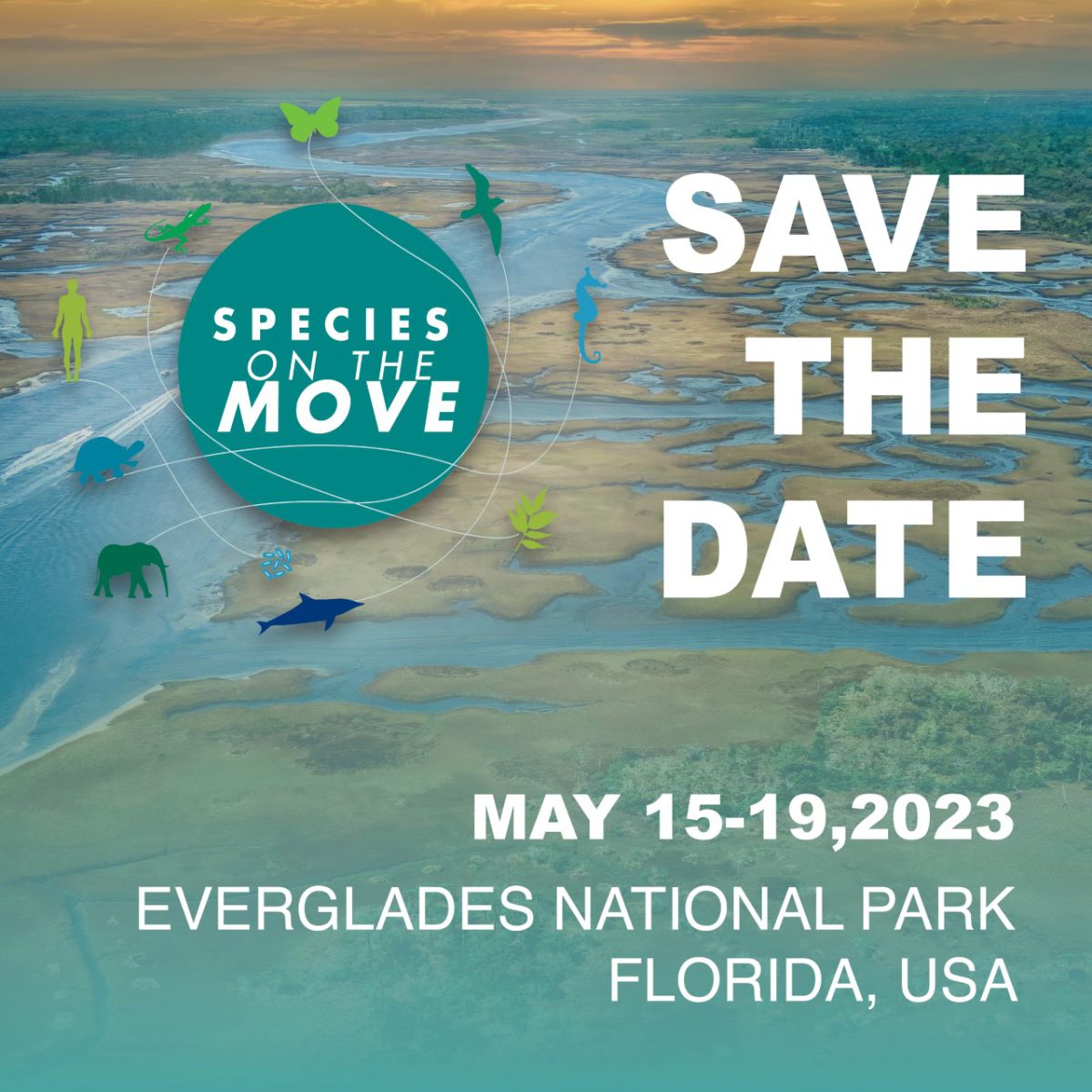 Species On The Move is back! May 1519, 2023. UF/IFAS Wildlife