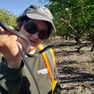 Wildlife researcher Izzy Garcia holds a Coluber constrictor priapus (southern black racer).