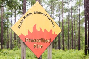 Prescribed Fire Sign