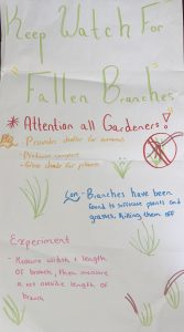 Student-created poster; a warning of fallen branches
