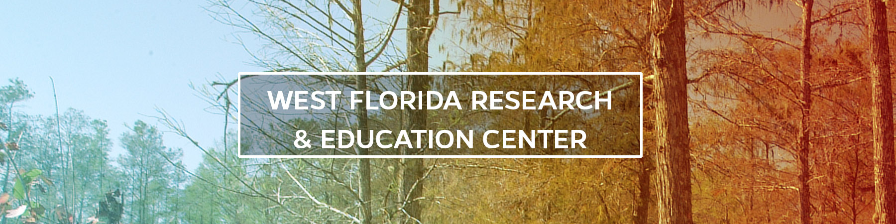 UF/IFAS West Florida Research and Education Center UF